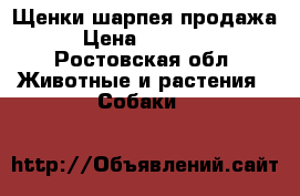 Щенки шарпея продажа › Цена ­ 10 000 - Ростовская обл. Животные и растения » Собаки   